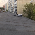 Ремонт- крыш, балконов. Ремонт кровли.