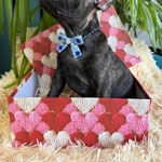 Французькі булочки шукають нову родину