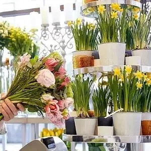 Доставка квітів Кам’янське від квіткового магазину PATIO – краса,  яку 