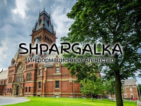 Отзыв научного руководителя на магистерскую работу на заказ в Украине