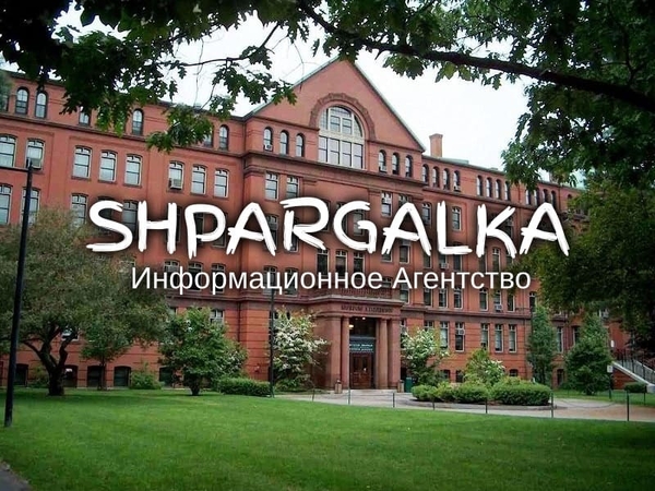 Магистерская работа по программированию на заказ в Украине