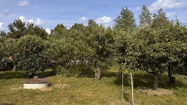 Продам власний будинок 2