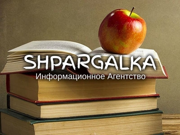 Разработка стартапа для ВКР на заказ в Украине