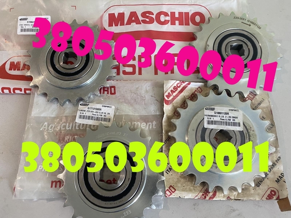 Запчастини для техніки Gaspardo — у продажу