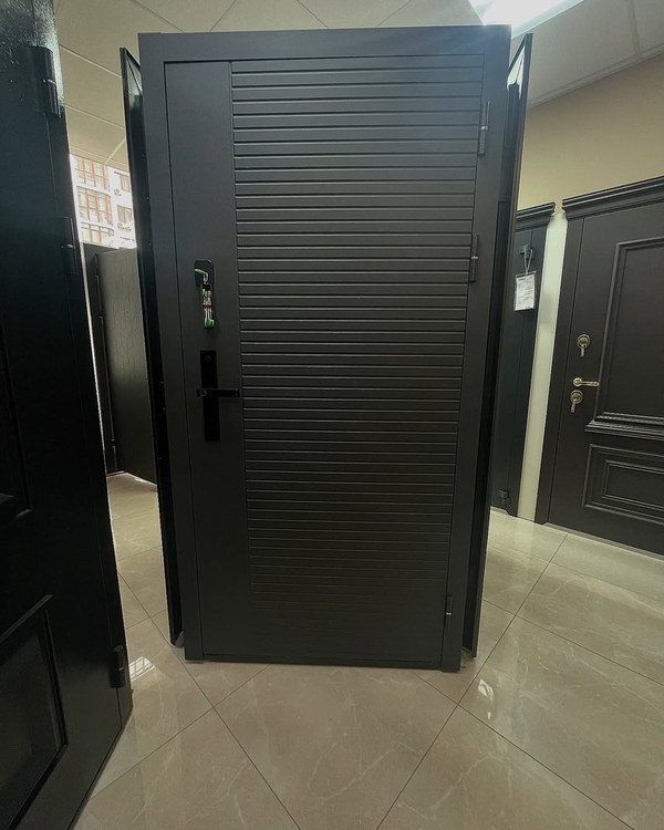 Купить двери входные Кривой Рог 7