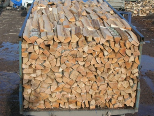 Продаю дрова акации и дуба